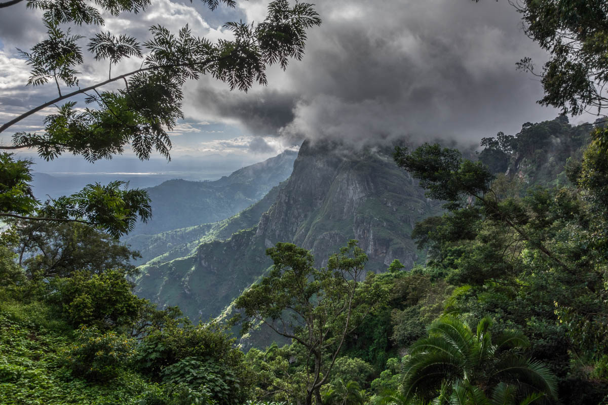 5-Day Usambara Mountains & Pangani Coast Escape