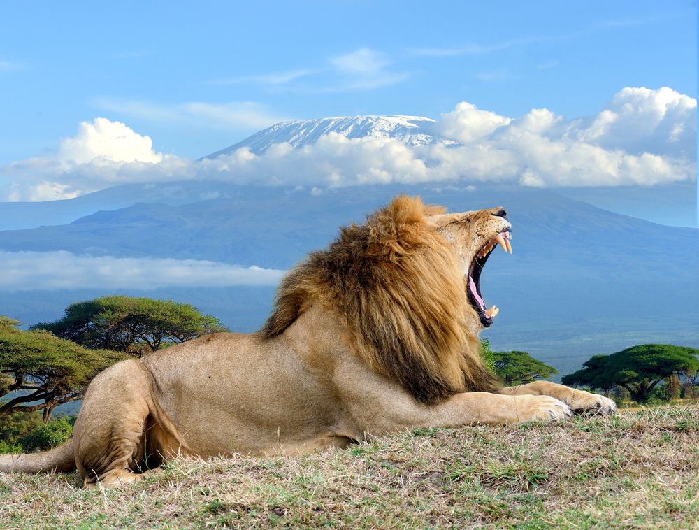 12-Day Amboseli, Masai Mara, Serengeti & Ngorongoro Safari