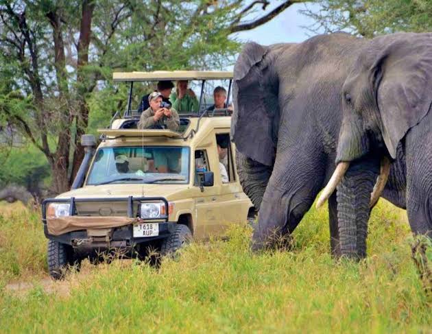 5-Day Luxury Serengeti Fly-In Safari