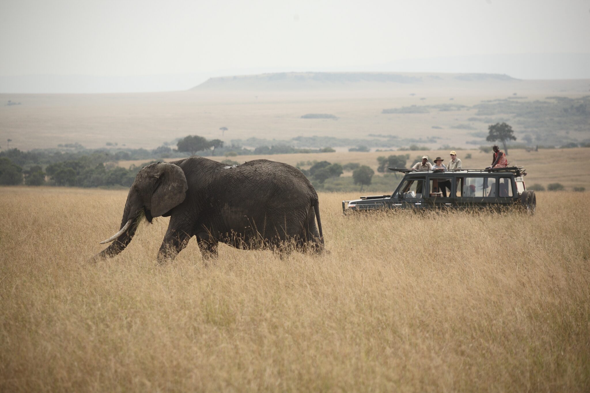 4-Day Serengeti Fly-In & Ngorongoro Escape