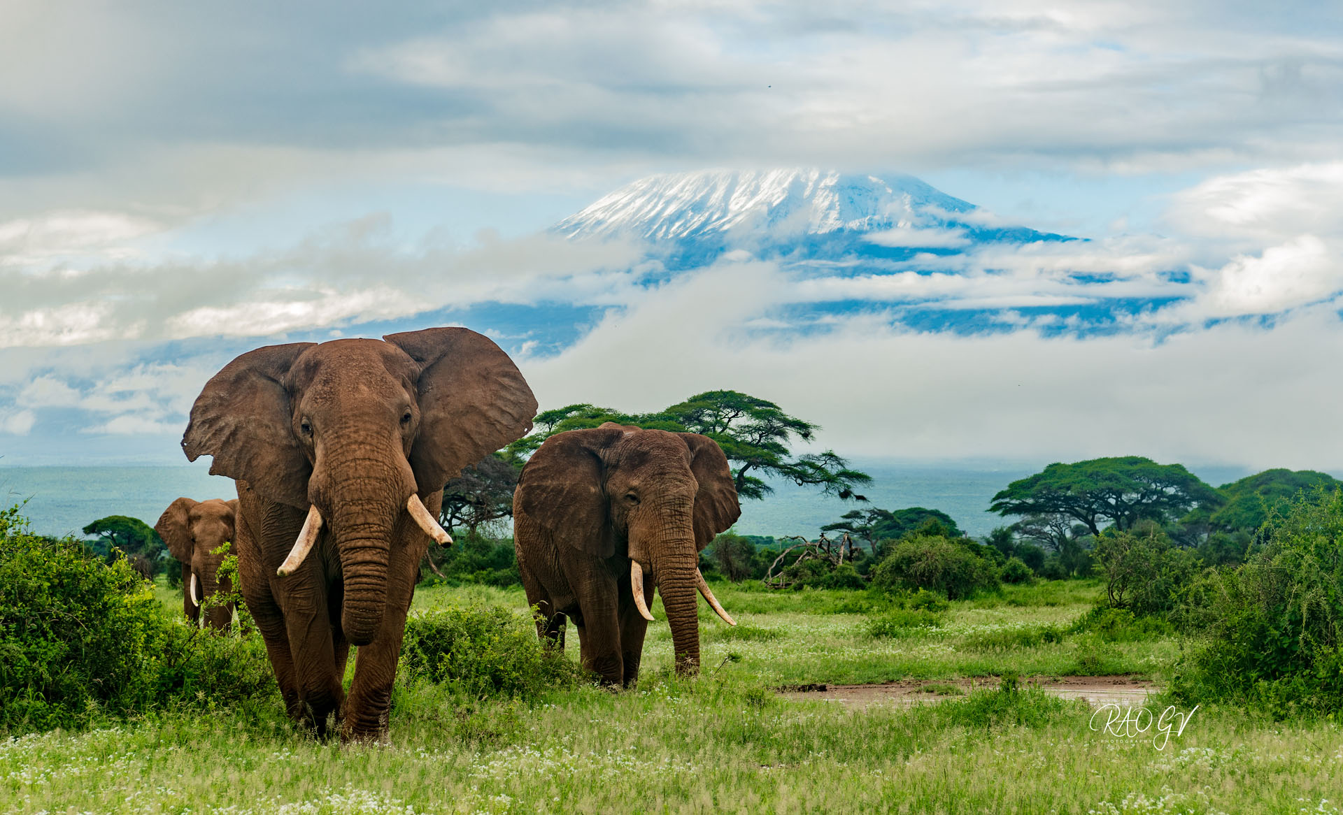7-Day Amboseli, Tarangire & Ngorongoro Cross-Border Safari