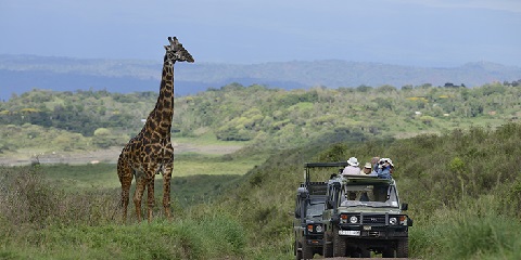10-Day Tanzania Safari & Zanzibar from Nairobi