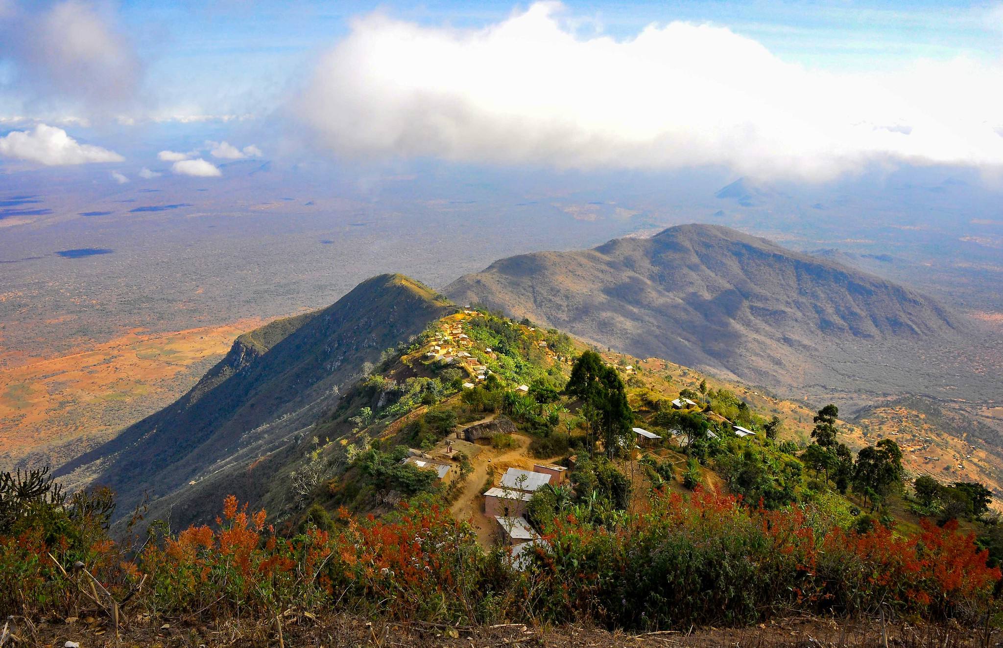 7-Day Usambara, Saadani & Indian Ocean Journey