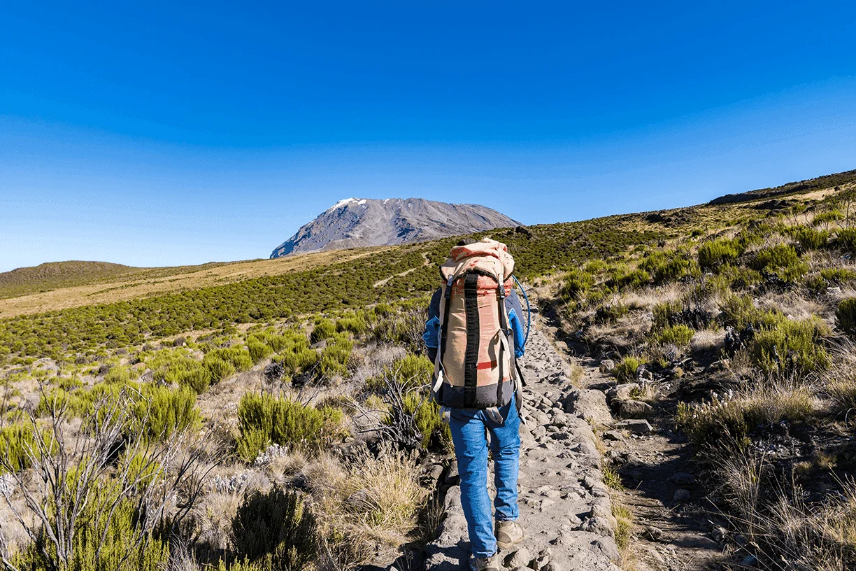 kili-rainforest-trail