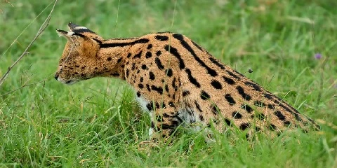 9-Day Nairobi to Northern Tanzania Explorer